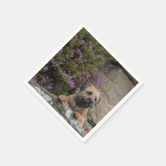 Border Terrier Papieren servetten (Hoek)