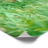 Border Terrier Poster (Hoek)