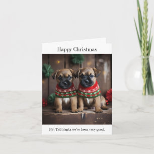 Border Terrier Puppies in Kersttruien Kaart