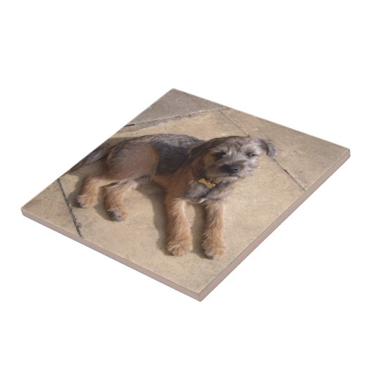 Border Terrier Puppy Tegeltje (Zijkant)
