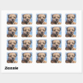 Border Terrier Sticker (Vel)
