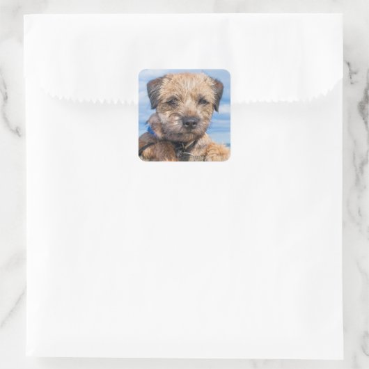 Border Terrier Sticker (Tas)