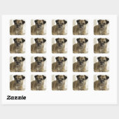 Border Terrier Vierkante Sticker (Vel)
