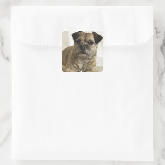 Border Terrier Vierkante Sticker (Tas)