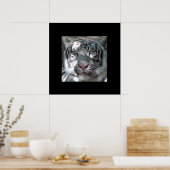 Border White Tiger Portret Poster (Keuken)
