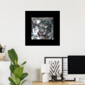 Border White Tiger Portret Poster (Thuiskantoor)