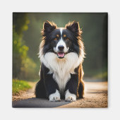 Bordercollie Magneet (Voorkant)