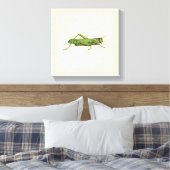 Bordered Print of Green Grasshopper (Insitu (Slaapkamer))