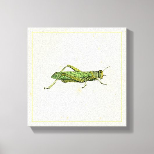 Bordered Print of Green Grasshopper (Voorkant)