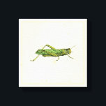 Bordered Print of Green Grasshopper<br><div class="desc">This lime bordered print features a green grasshopper on a cream background. A Vision Studio original,  this would make a great gift for the insect or nature lover in your life.</div>