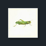 Bordered Print of Green Grasshopper<br><div class="desc">This lime bordered print features a green grasshopper on a cream background. A Vision Studio original,  this would make a great gift for the insect or nature lover in your life.</div>