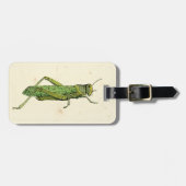 Bordered Print of Green Grasshopper Bagagelabel (Voorkant horizontaal)