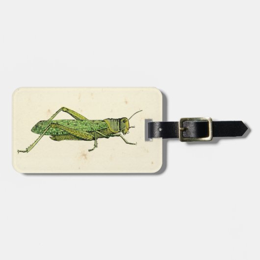 Bordered Print of Green Grasshopper Bagagelabel (Voorkant horizontaal)