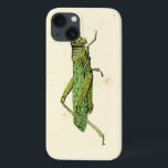 Bordered Print of Green Grasshopper iPhone 13 Hoesje<br><div class="desc">This lime bordered print features a green grasshopper on a cream background. A Vision Studio original,  this would make a great gift for the insect or nature lover in your life.</div>