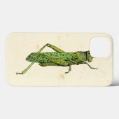 Bordered Print of Green Grasshopper Case-Mate iPhone Case (Achterkant (horizontaal))
