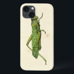 Bordered Print of Green Grasshopper iPhone 13 Hoesje<br><div class="desc">This lime bordered print features a green grasshopper on a cream background. A Vision Studio original,  this would make a great gift for the insect or nature lover in your life.</div>