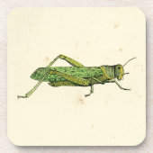 Bordered Print of Green Grasshopper Drankjes Onderzetter (Voorkant)