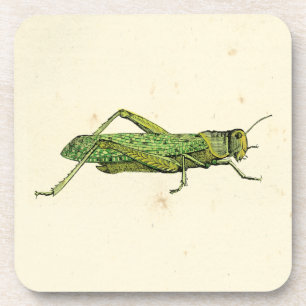 Bordered Print of Green Grasshopper Drankjes Onderzetter