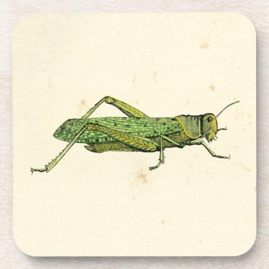 Bordered Print of Green Grasshopper Drankjes Onderzetter (Voorkant)