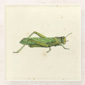 Bordered Print of Green Grasshopper Glazen Onderzetter (Voorkant)