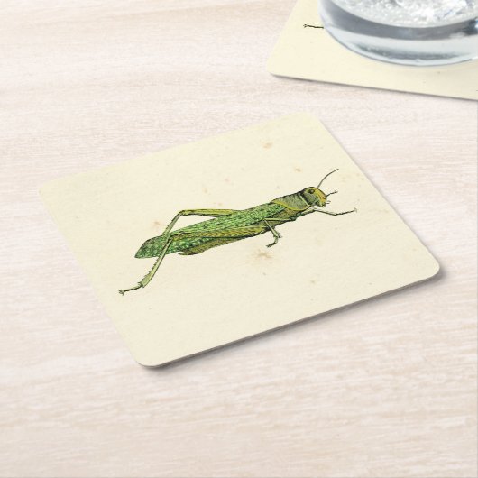 Bordered Print of Green Grasshopper Kartonnen Onderzetters (Schuin)