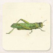 Bordered Print of Green Grasshopper Kartonnen Onderzetters (Voorkant)