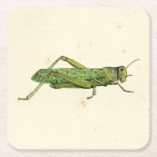 Bordered Print of Green Grasshopper Kartonnen Onderzetters