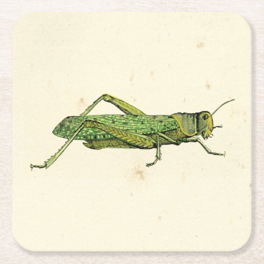 Bordered Print of Green Grasshopper Kartonnen Onderzetters (Voorkant)