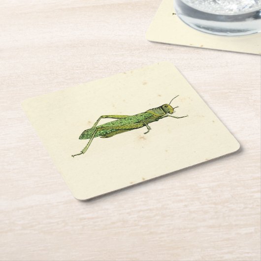 Bordered Print of Green Grasshopper Kartonnen Onderzetters (Schuin)