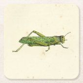 Bordered Print of Green Grasshopper Kartonnen Onderzetters (Voorkant)