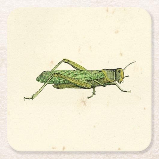 Bordered Print of Green Grasshopper Kartonnen Onderzetters (Voorkant)