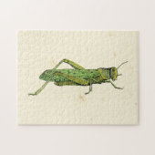 Bordered Print of Green Grasshopper Legpuzzel (Horizontaal)