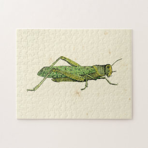 Bordered Print of Green Grasshopper Legpuzzel