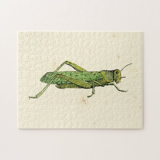 Bordered Print of Green Grasshopper Legpuzzel (Horizontaal)