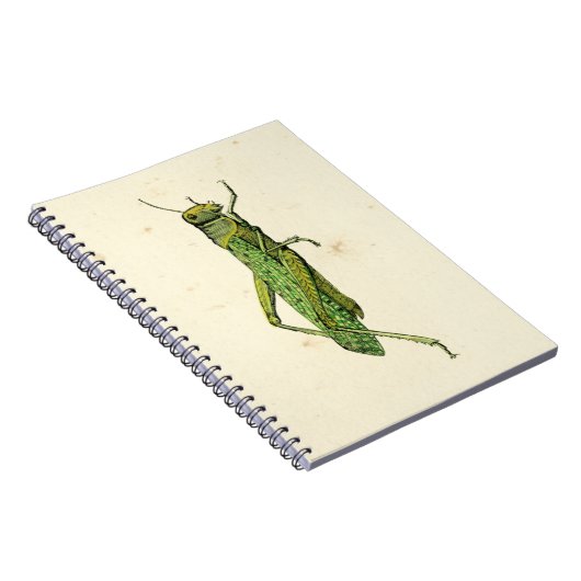 Bordered Print of Green Grasshopper Notitieboek (Rechterzijde)