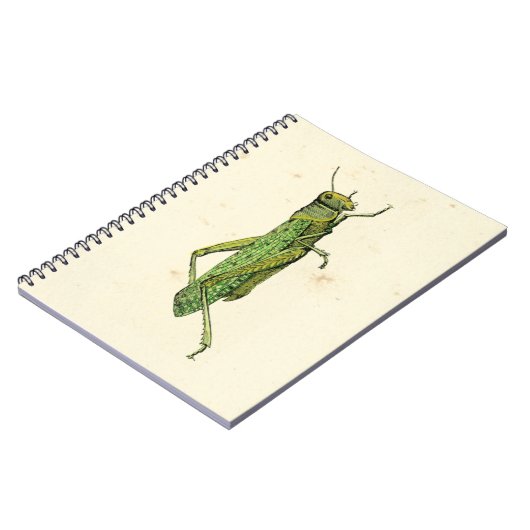 Bordered Print of Green Grasshopper Notitieboek (Linkerzijde)