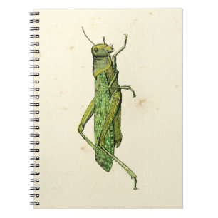 Bordered Print of Green Grasshopper Notitieboek