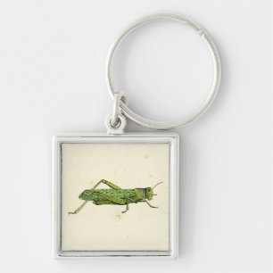 Bordered Print of Green Grasshopper Sleutelhanger