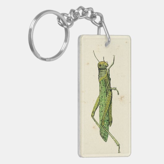 Bordered Print of Green Grasshopper Sleutelhanger (Voorkant Links)