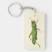 Bordered Print of Green Grasshopper Sleutelhanger (Voorkant)