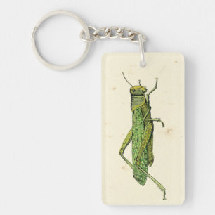 Bordered Print of Green Grasshopper Sleutelhanger