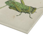 Bordered Print of Green Grasshopper Snijplank (Hoek)