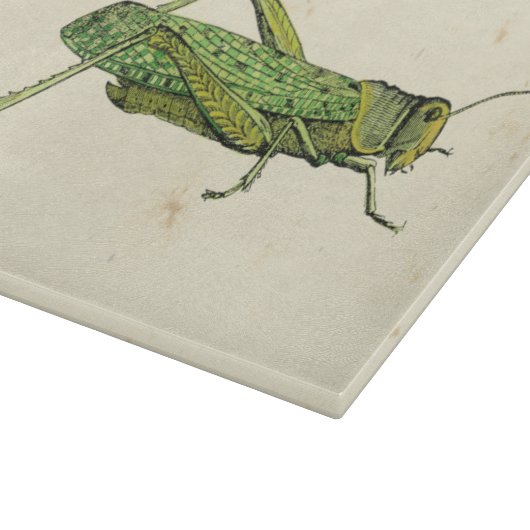 Bordered Print of Green Grasshopper Snijplank (Hoek)