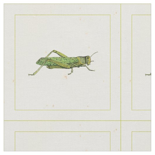 Bordered Print of Green Grasshopper Stof (Close Up)
