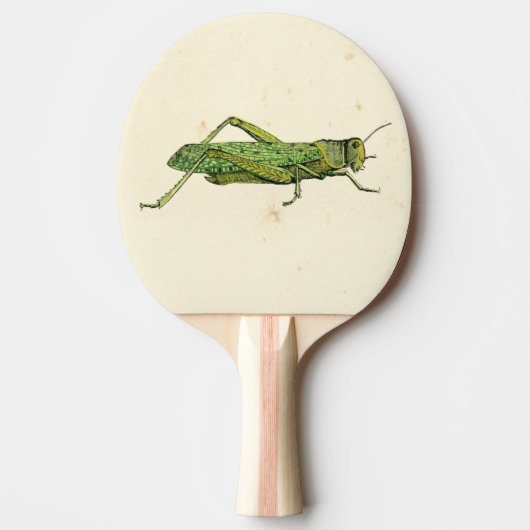 Bordered Print of Green Grasshopper Tafeltennisbatje (Voorkant)
