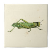 Bordered Print of Green Grasshopper Tegeltje (Voorkant)