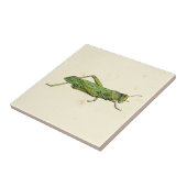 Bordered Print of Green Grasshopper Tegeltje (Zijkant)