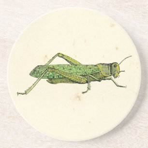 Bordered Print of Green Grasshopper Zandsteen Onderzetter
