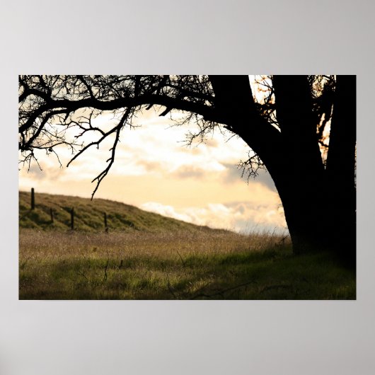 "Border's Dusk" Poster (Voorkant)