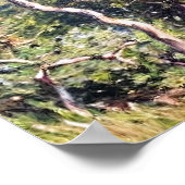 Bordighera Poster (Hoek)